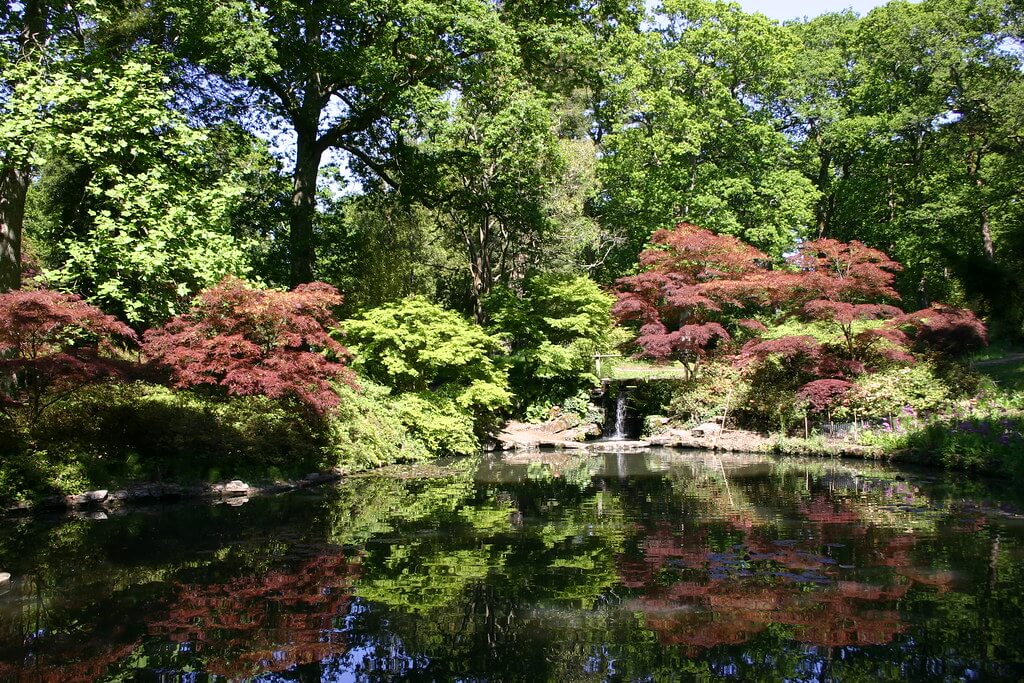 Gardens to explore in england