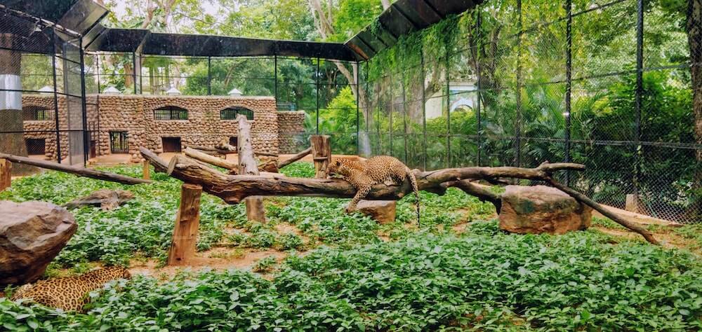 safari zoo in england