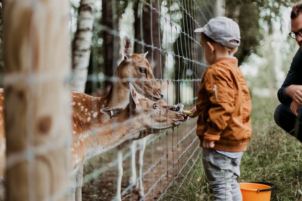 18 Best Zoos in England for a Day Out in 2024