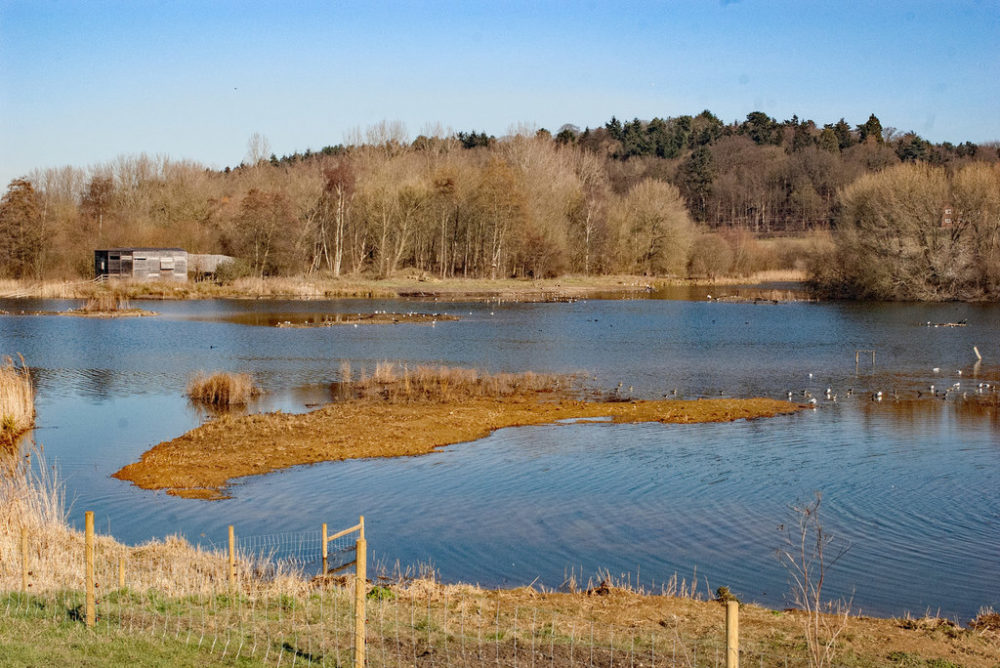 14 Best Days Out In Hertfordshire for Your Day Trip Day Out in England