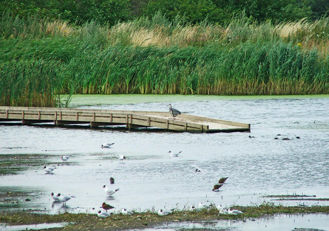 Nature Reserve