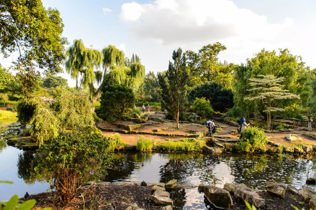 LONDON, ENGLAND - JULY 23, 2016: Nature of the Regent's Park, one of the Royal Parks of London.