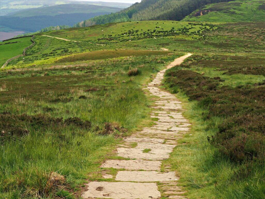 111869735 - cleveland way footpath through heather moorland in the north york moors national park, england