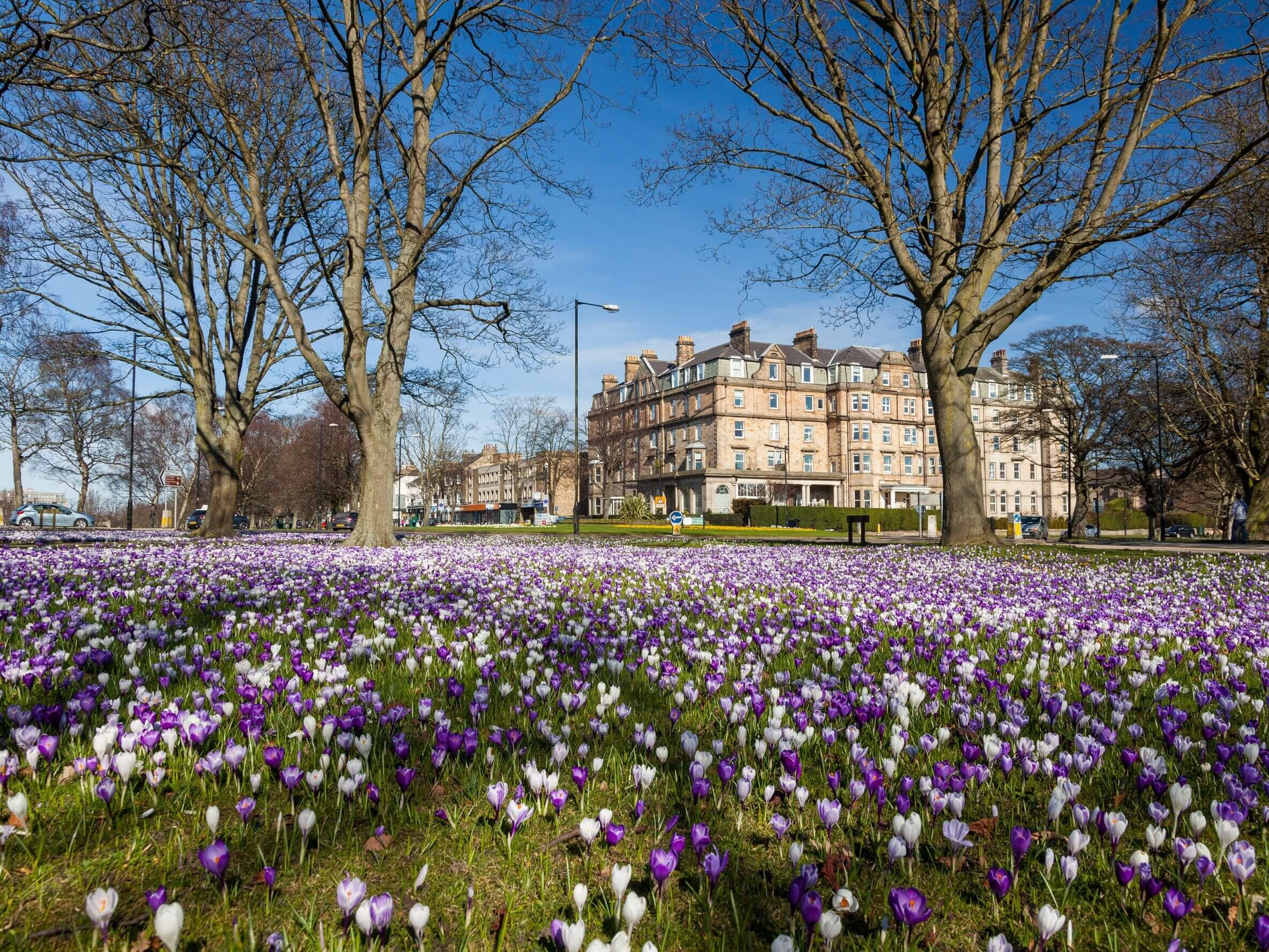 19 Amazing Things to Do in Harrogate on a Day Out