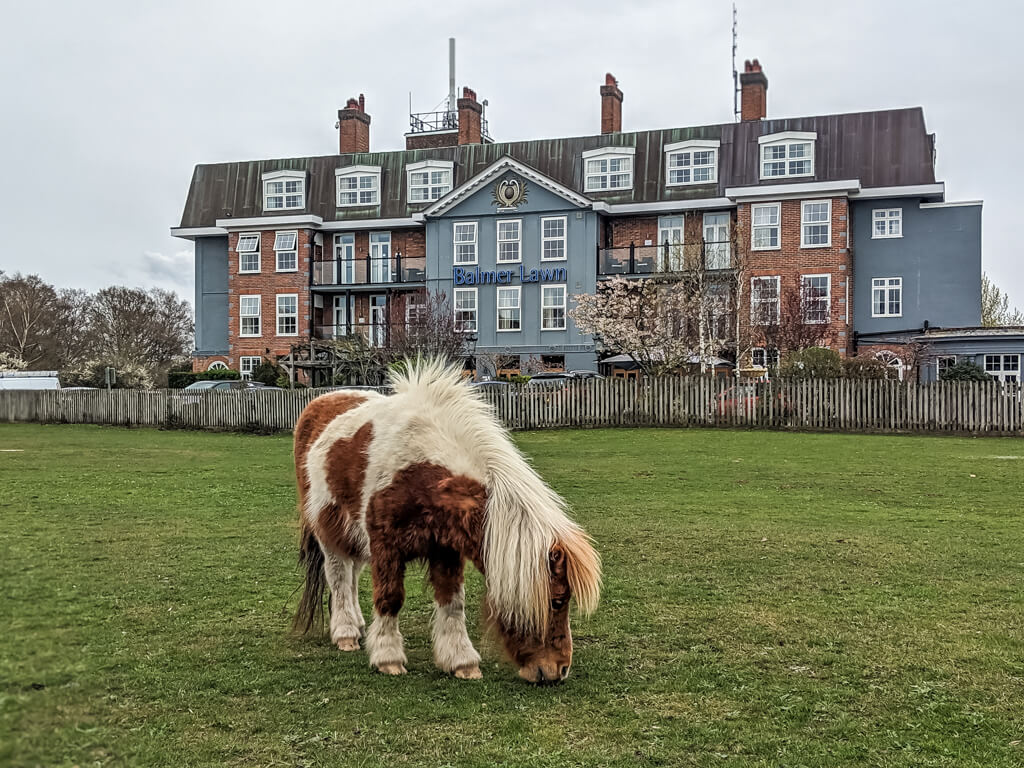 prettiest villages in the new forest