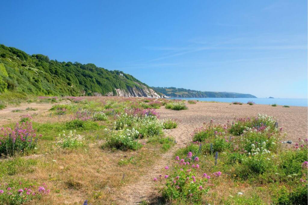 Beaches in Devon