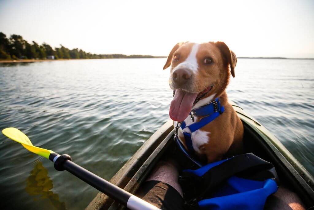 7 Kayak Safety Tips You NEED this Summer