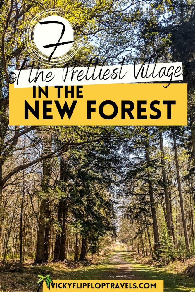 new forest tourist village