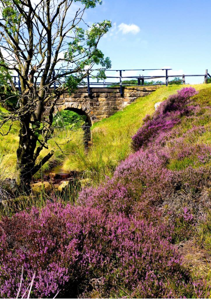 North York Moors