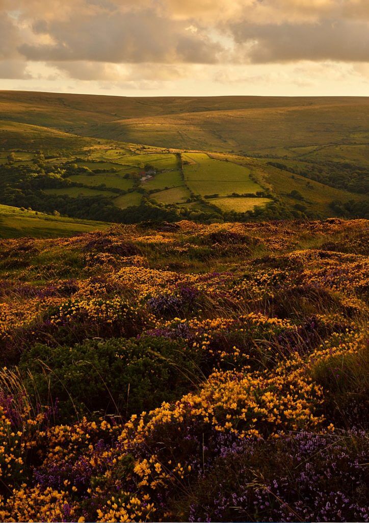 best picnic spots in England