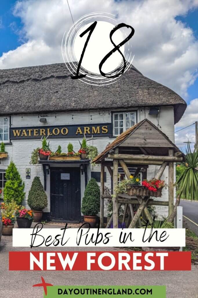 PUBS IN THE NEW FOREST
