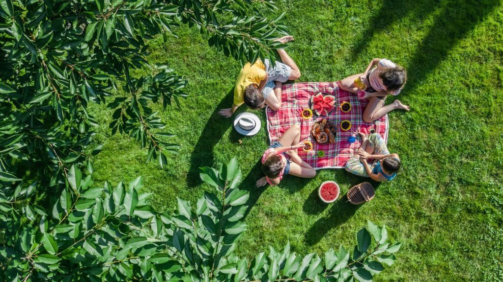 picnics outside