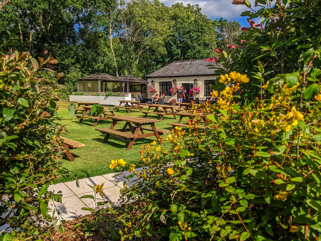 pubs in the new forest
