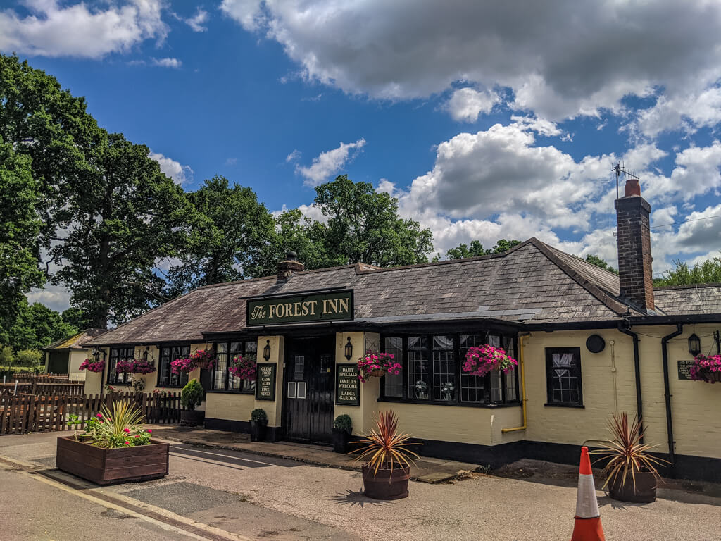 best pub in the new forest