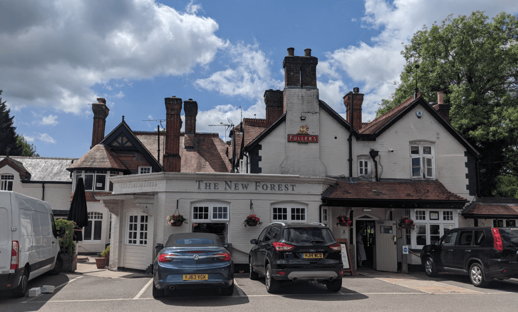 new forest pubs