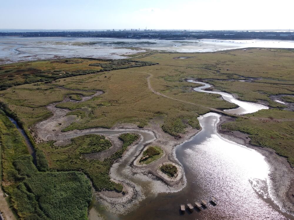 Farlington Marshes