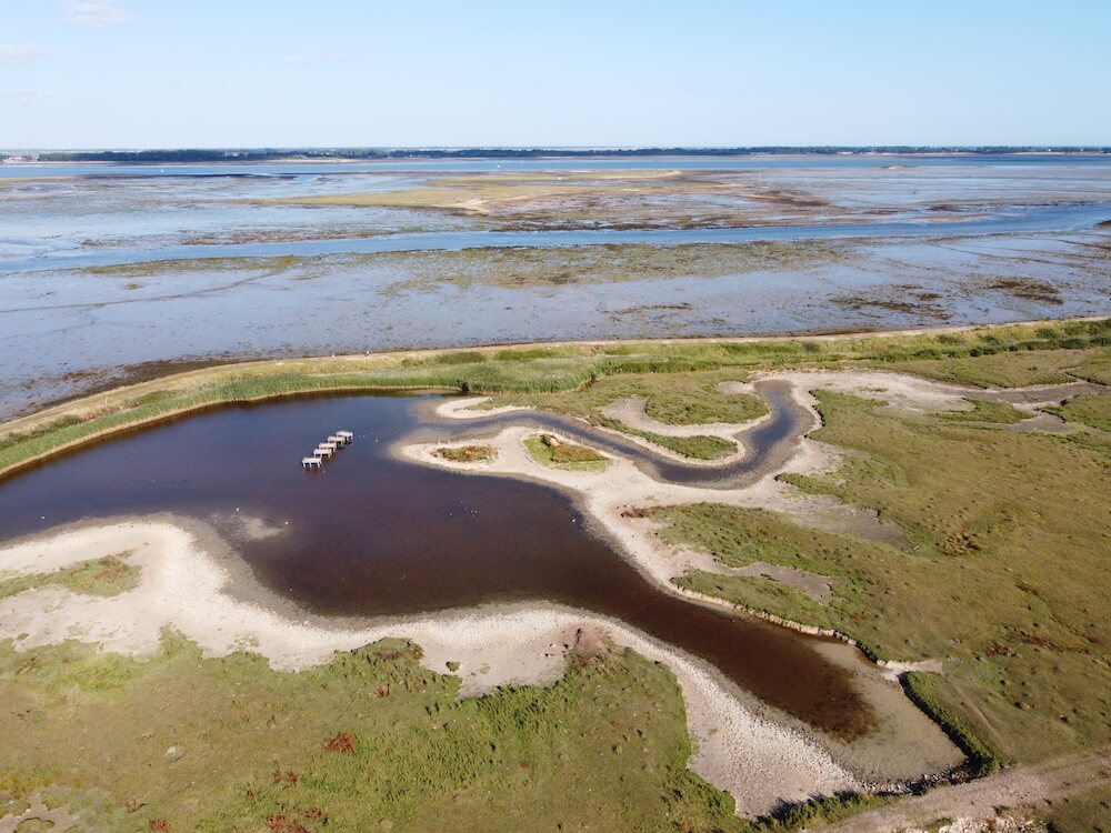 Explore Farlington Marshes