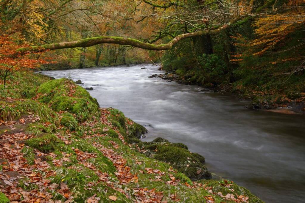 15 Most Interesting Rivers In England Day Out In England   Dart 1024x683 