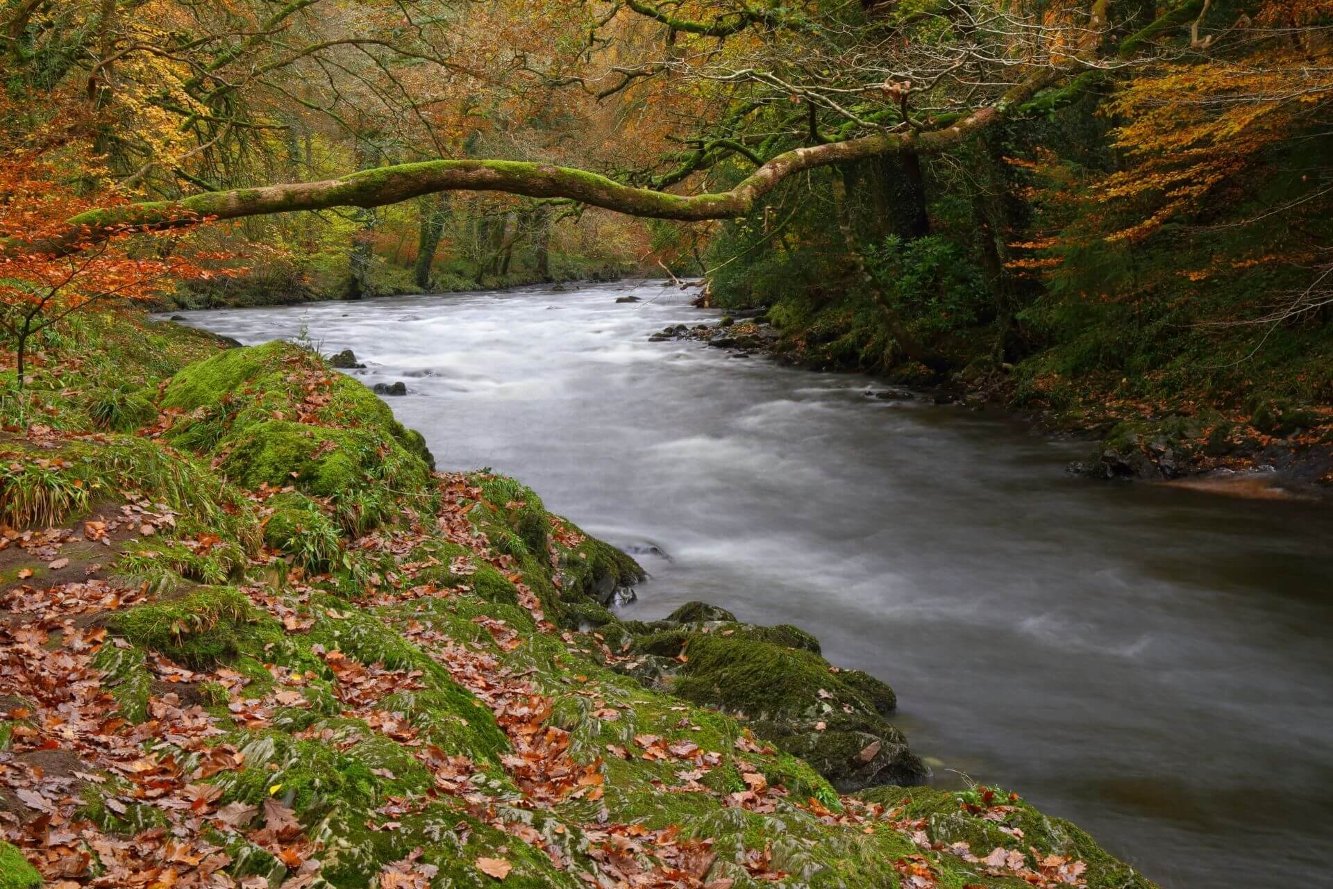 15 Most Interesting Rivers in England | Day Out in England