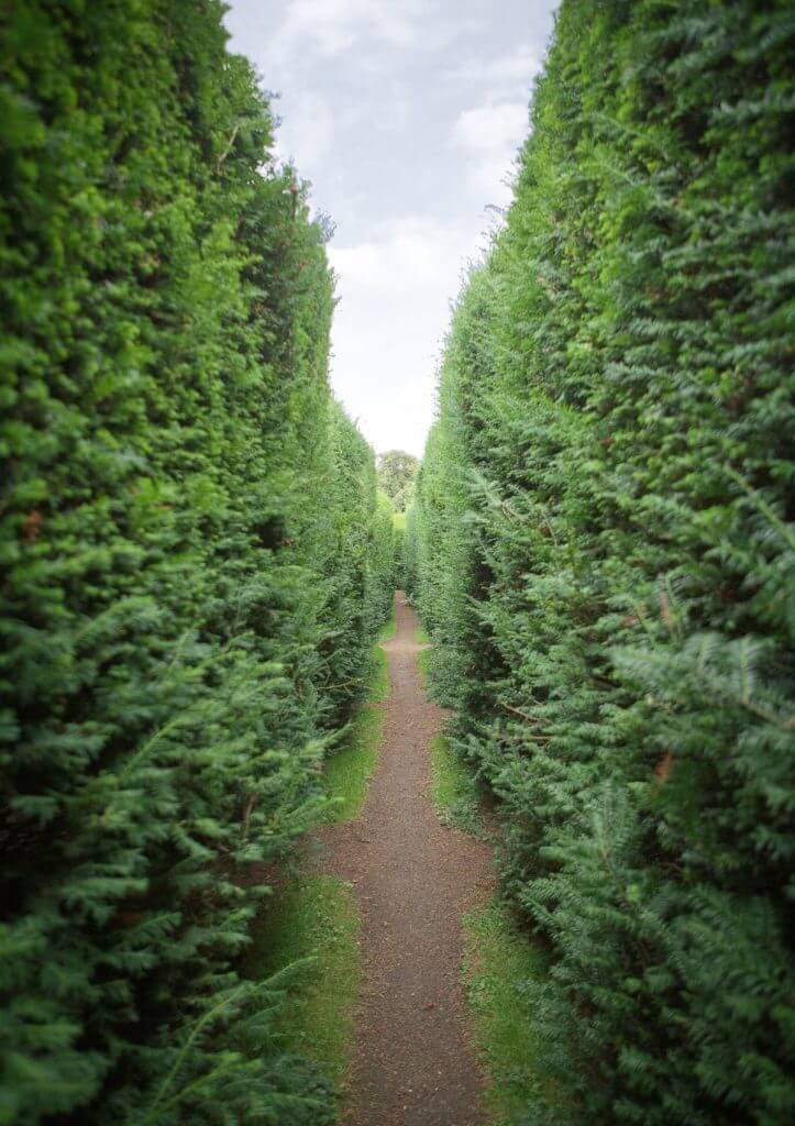 mazes in england