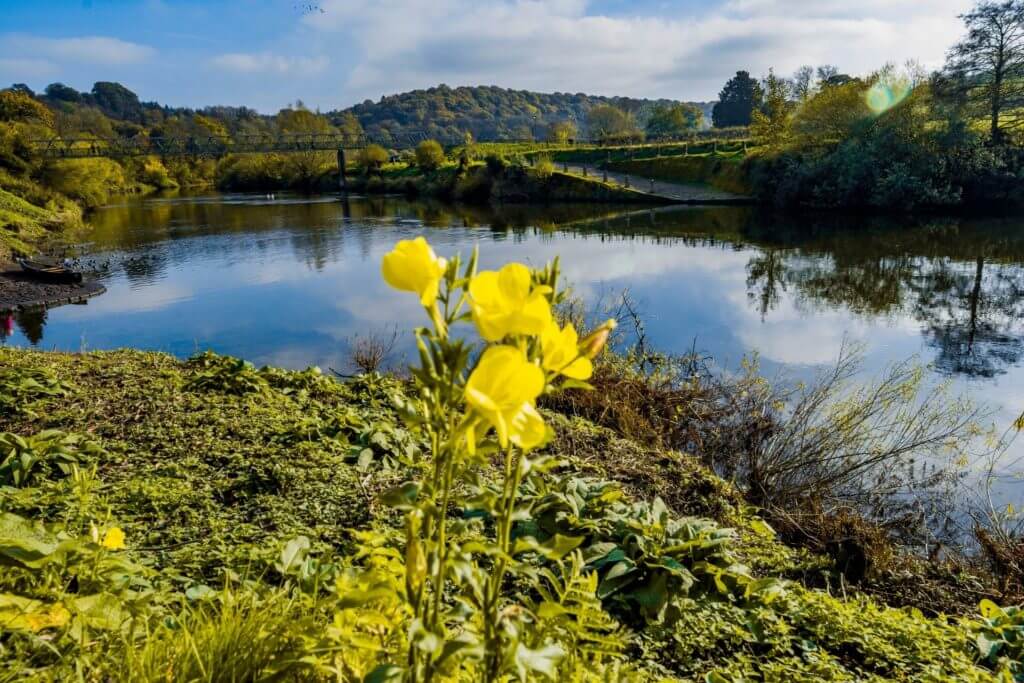 Major rivers of England 