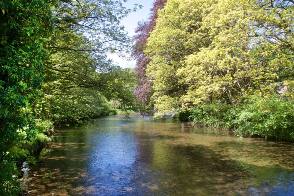 16 Most Interesting Rivers In England Day Out In England   River Wye 1000x667 