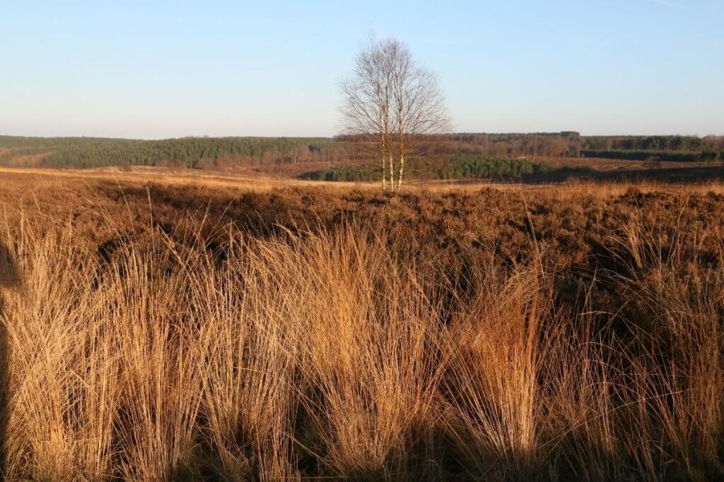 day out in staffordshire