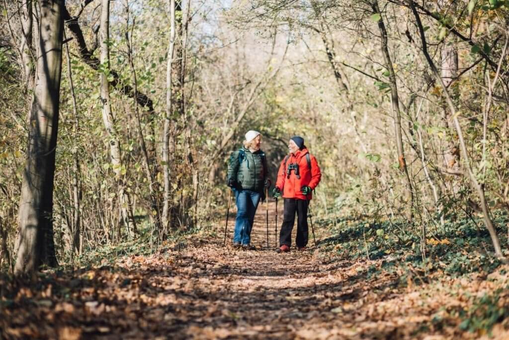 adults day out in england