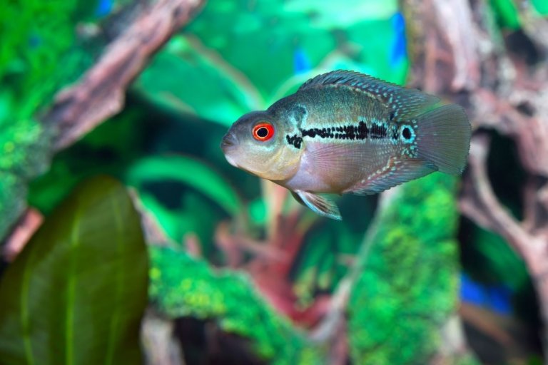 15 Best Aquariums in England for a Day Out in 2023 Day Out in England