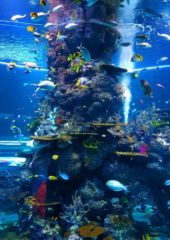 england aquarium