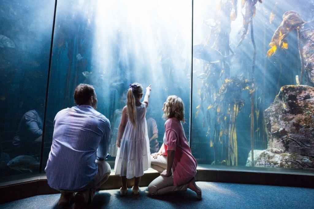 The best aquariums in England