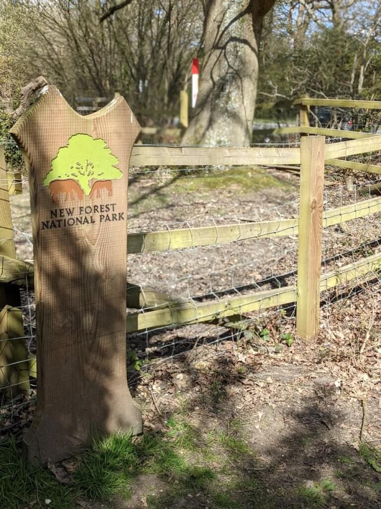 walking in the new forest