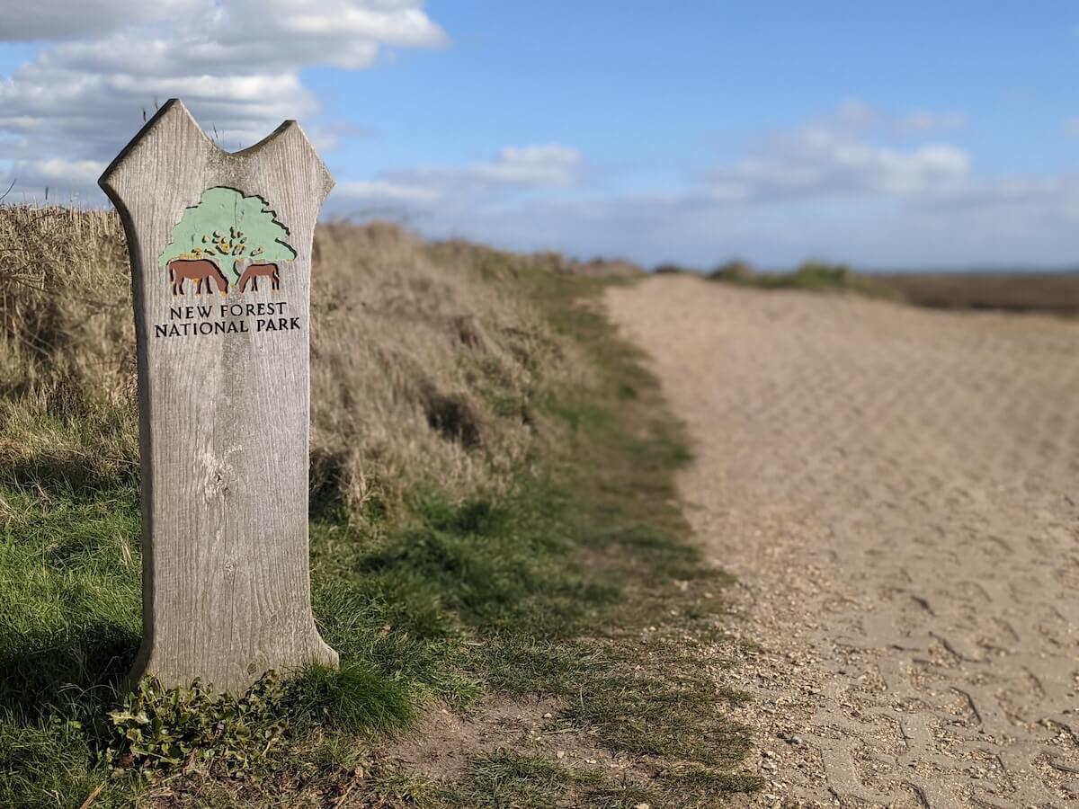 Top england attraction: New forest