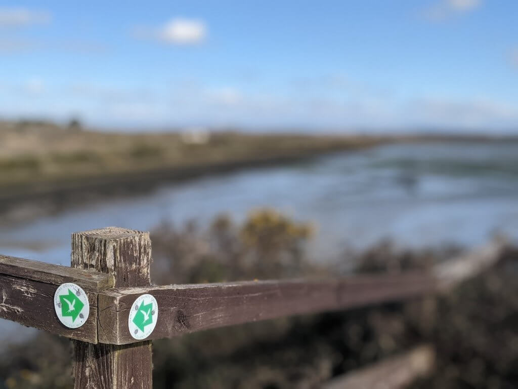 Walking the Solent Way