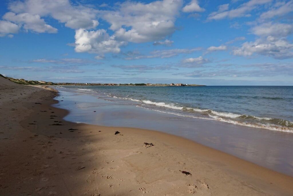 white sand beach