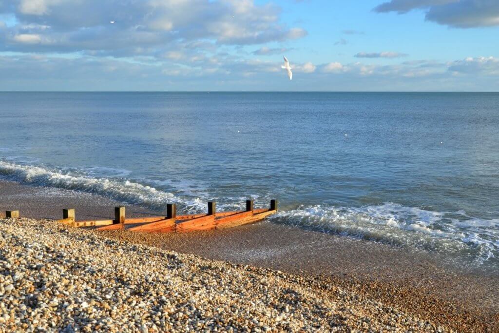 day out in bognor