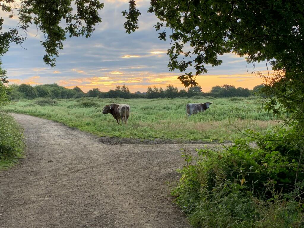 Days out in West Sussex