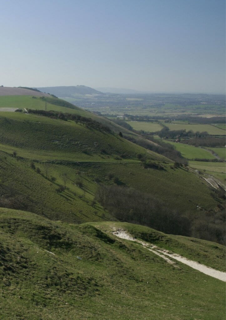 day out in the south downs