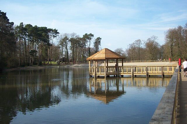 Exploring Tilgate Park