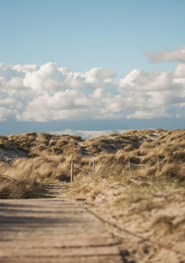 day out at west wittering