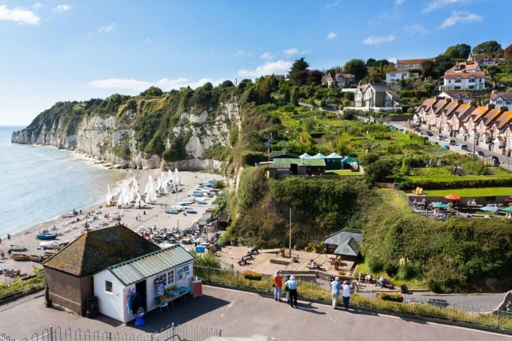 devon village beer