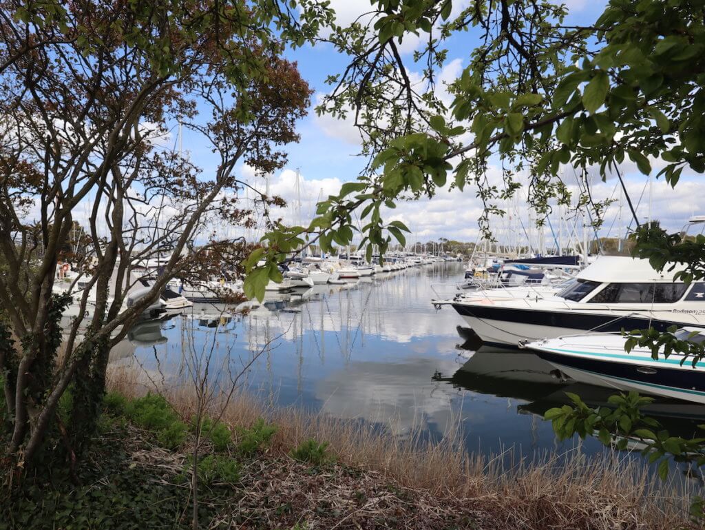 View of Chichester Marina