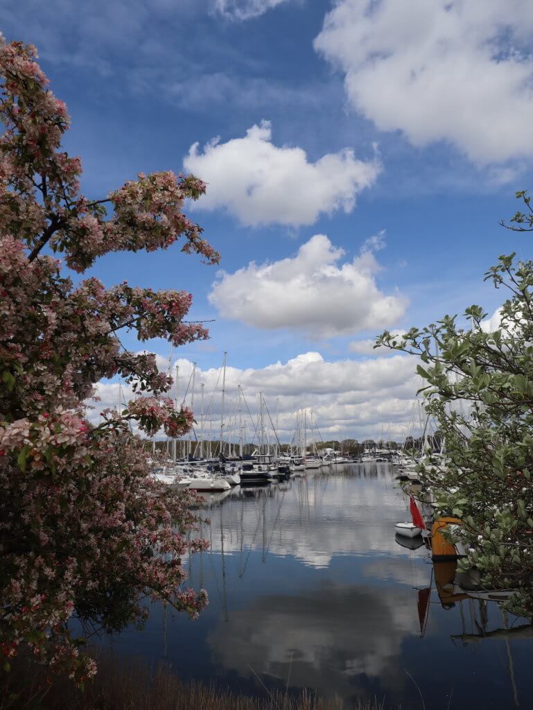 best marinas in england 