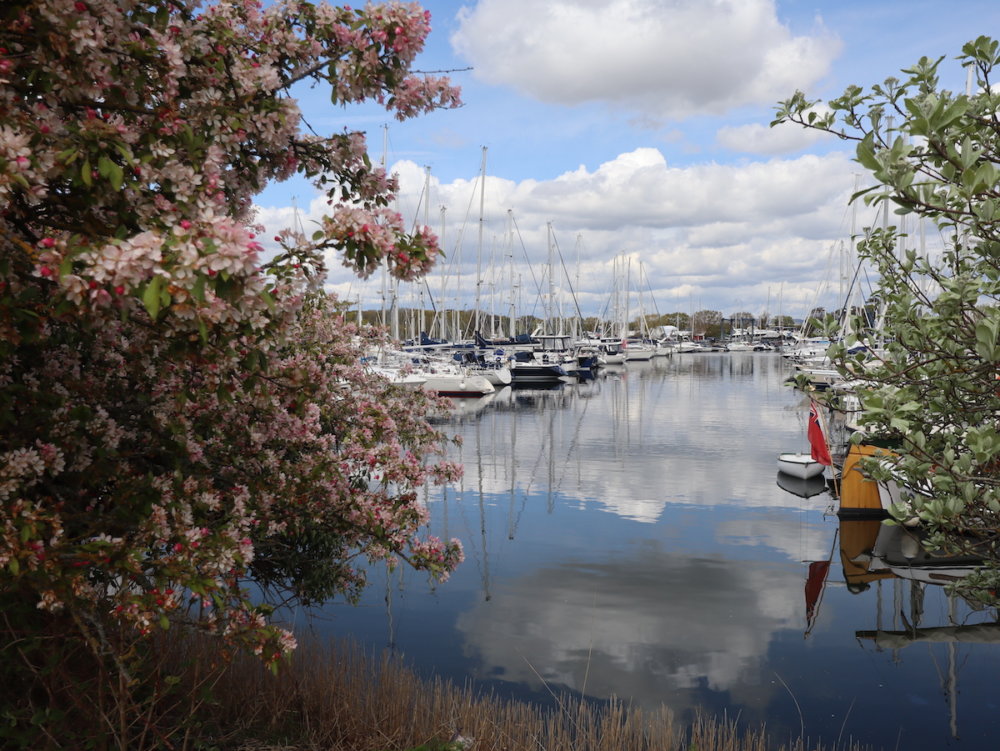 10 Best Places to Visit in Chichester Harbour AONB in 2022 Day Out in