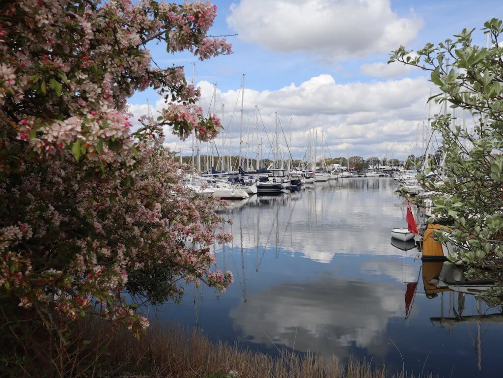 chichester harbour tours