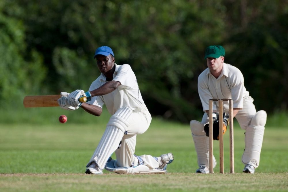 17 interesting facts about cricket in england day out in england