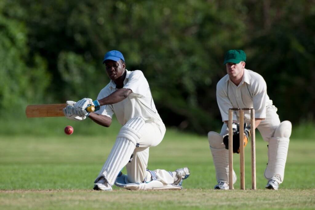 playing cricket facts