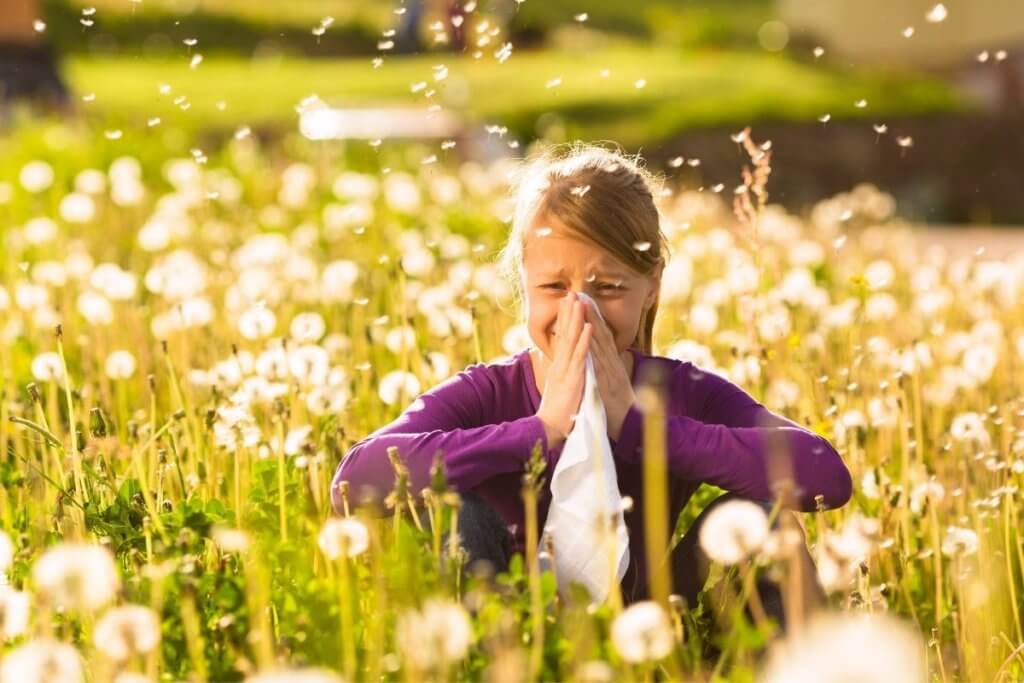 England hayfever