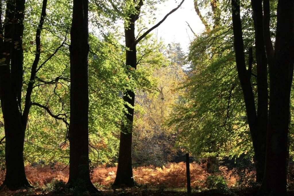 national park in england