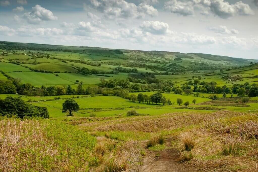 what to do north york moors